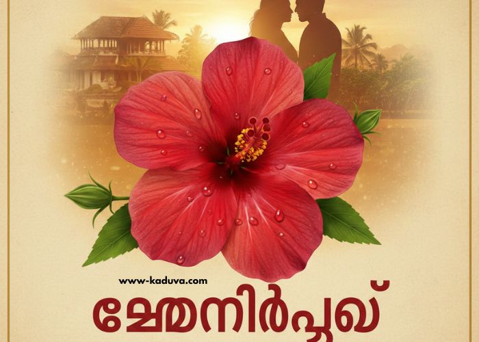 ചെമ്പനീർപൂവ് 11 December 2025 Episode ചെമ്പനീർപൂവ് 11 December